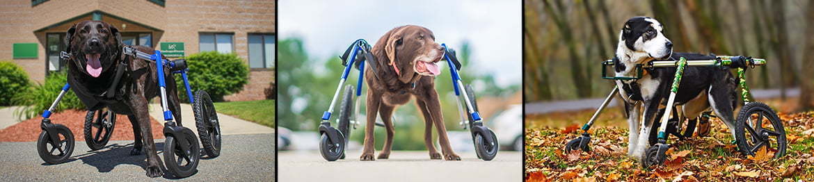 Walkin' Wheels Fully Supportive Large for Handicapped Pets