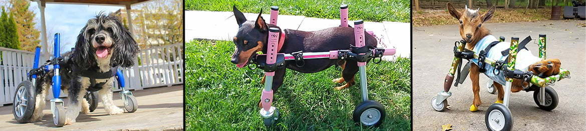 Walkin' Wheels® Fully Supportive Small for Handicapped Pets