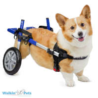 Walkin' Wheels CORGI Dog Wheelchair