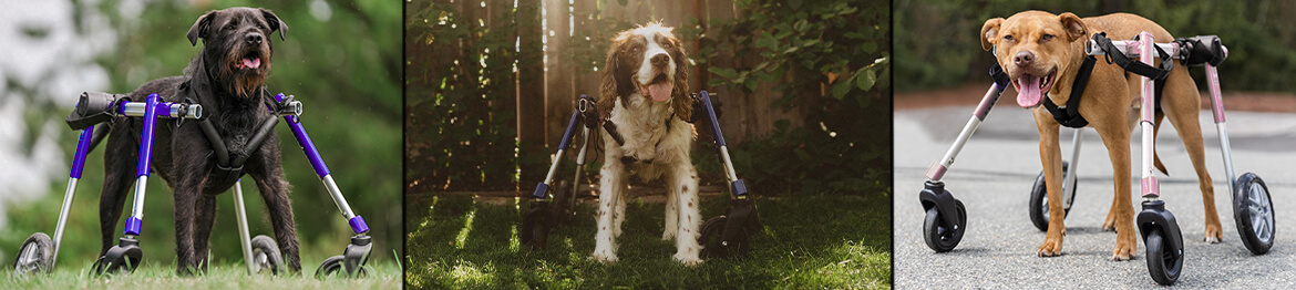 walkin' wheels full support dog wheelchair